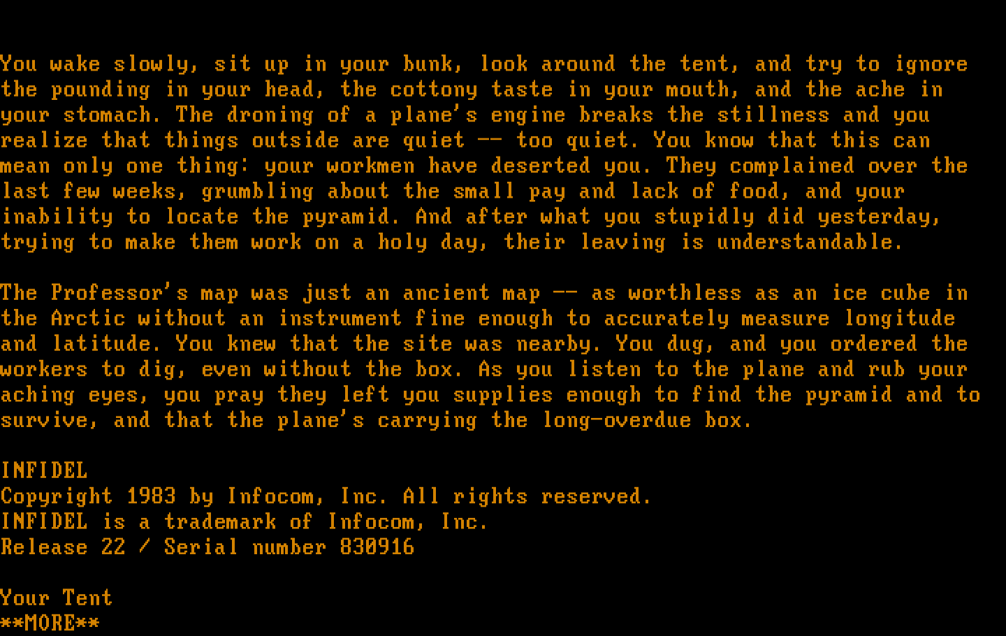 Infidel IBM PC/Compatibles Screenshot: Introduction and title screen.