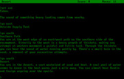 Infidel for IBM PC/Compatibles - Lost in the desert.