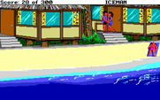 Code-Name: Iceman for IBM PC/Compatibles - Taking a girl home...