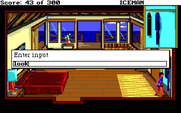 Code-Name: Iceman for IBM PC/Compatibles - Entering a command...