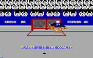 International Hockey for IBM PC/Compatibles - Penalty shot; player one is the goalie.
