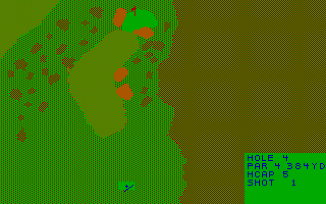 NCR Country Club IBM PC/Compatibles Screenshot: The tee on a par 4.