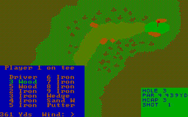 NCR Country Club IBM PC/Compatibles Screenshot: Hmm, what club should I use...