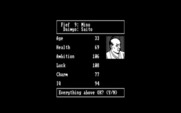 Nobunaga's Ambition for IBM PC/Compatibles - Are these stats ok?