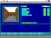 Curse of the Azure Bonds for Macintosh - Exploring the town...