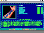 Curse of the Azure Bonds for Macintosh - Game start.
