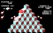 J-Bird for IBM PC/Compatibles - Starting the first round.