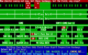 Highroller: Professional Craps for IBM PC/Compatibles - Placing bets...