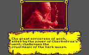 Willow for Amiga - Success at the final spellcasting...