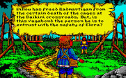 Willow for Amiga - Success! The story continues...