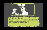 Willow for Commodore 64 - I lost this time...