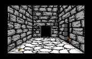 Willow for Commodore 64 - Escaping the dungeons...