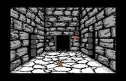 Willow for Commodore 64 - Which path to take?