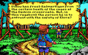 Willow for IBM PC/Compatibles - Success!