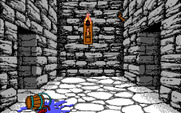Willow for IBM PC/Compatibles - Would you go left or right?