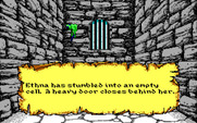 Willow for IBM PC/Compatibles - Stumbled into a dungeon...