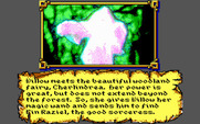 Willow for IBM PC/Compatibles - Meeting Cherlindrea.