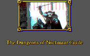 Willow for IBM PC/Compatibles - Intro to part 1, the dungeons...