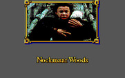 Willow for IBM PC/Compatibles - Starting the Nockmaar Woods sequence...