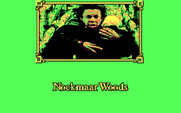 Willow for IBM PC/Compatibles - Nockmaar Woods loading screen.