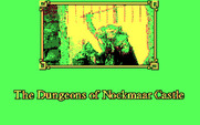 Willow for IBM PC/Compatibles - Ready to begin the dungeon sequence?