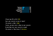Beyond Zork: The Coconut of Quendor for Commodore 128 - Are you satisfied with this character?