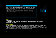 Beyond Zork: The Coconut of Quendor for Commodore 128 - Beginning to explore...