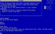 Beyond Zork: The Coconut of Quendor for IBM PC/Compatibles - Stairs leading down...are you ready to enter?