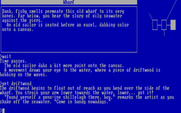 Beyond Zork: The Coconut of Quendor for IBM PC/Compatibles - Exploring the area.