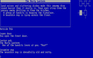 Beyond Zork: The Coconut of Quendor for IBM PC/Compatibles - Be careful, this pub could be dangerous!
