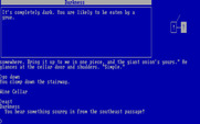 Beyond Zork: The Coconut of Quendor for IBM PC/Compatibles - I'll need a lamp to avoid being eaten by a grue!