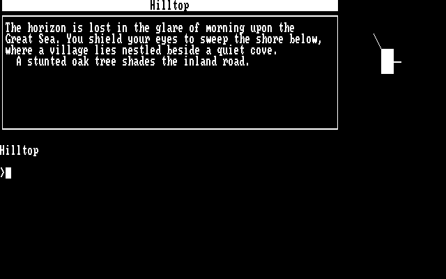 Beyond Zork: The Coconut of Quendor IBM PC/Compatibles Screenshot: The adventure begins!