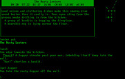 Beyond Zork: The Coconut of Quendor for IBM PC/Compatibles - This place is dangerous, be careful!