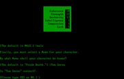Beyond Zork: The Coconut of Quendor for IBM PC/Compatibles - Save your new character to disk?