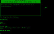 Beyond Zork: The Coconut of Quendor for IBM PC/Compatibles - It's dark here...luckily I snagged that lamp!