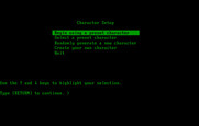 Beyond Zork: The Coconut of Quendor for IBM PC/Compatibles - Character setup menu.