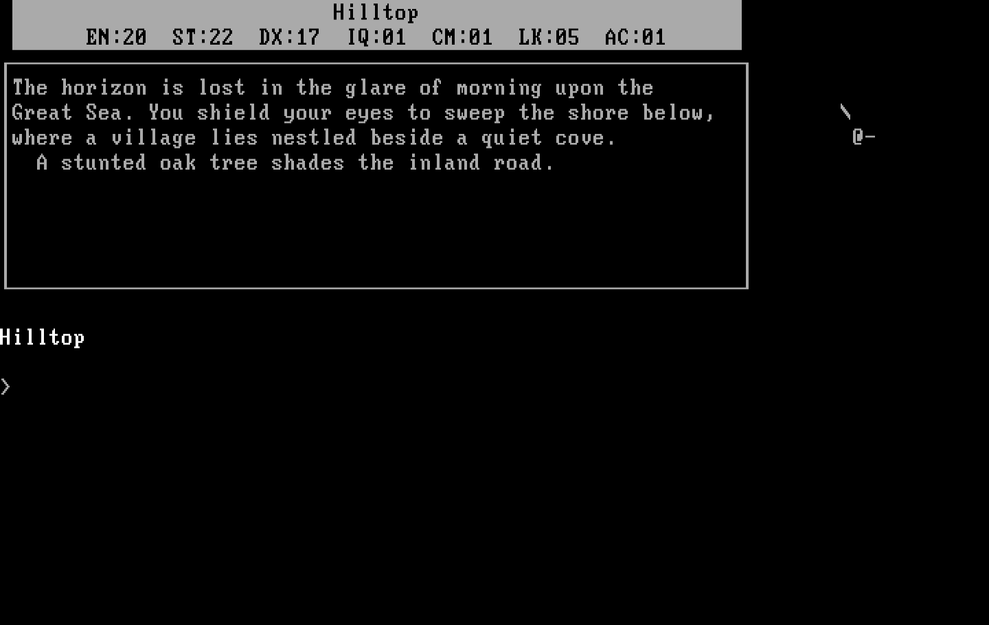 Beyond Zork: The Coconut of Quendor IBM PC/Compatibles Screenshot: The adventure begins!