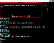 Beyond Zork: The Coconut of Quendor for Amiga - My lantern just went out...