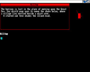 Beyond Zork: The Coconut of Quendor for Amiga - The adventure begins!