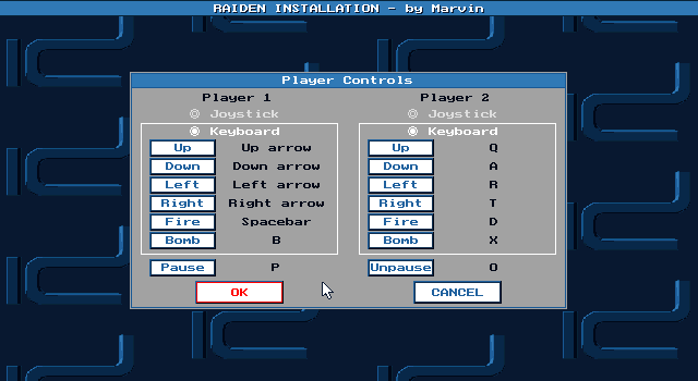 Raiden IBM PC/Compatibles Screenshot: Player controls.