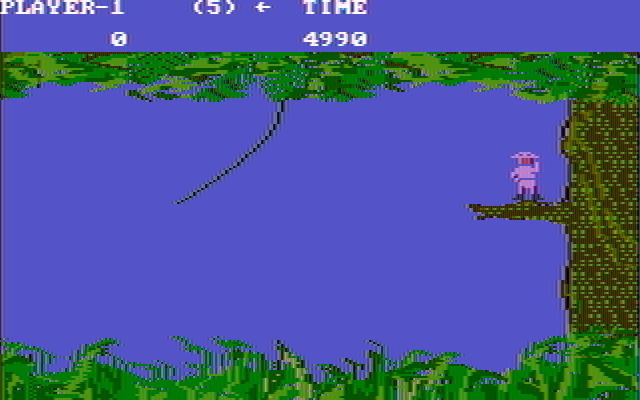Jungle Hunt IBM PC/Compatibles Screenshot: Game start.