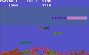 Jungle Hunt for IBM PC/Compatibles - You'll occasionally need to swim at the surface for air...