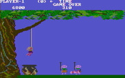Jungle Hunt for IBM PC/Compatibles - Game over! I'll have to try again...