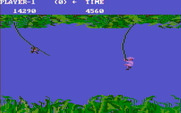 Jungle Hunt for IBM PC/Compatibles - Monkeys appear on the vines on more difficult levels.
