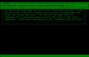 Inca for IBM PC/Compatibles - A condor flies overhead...