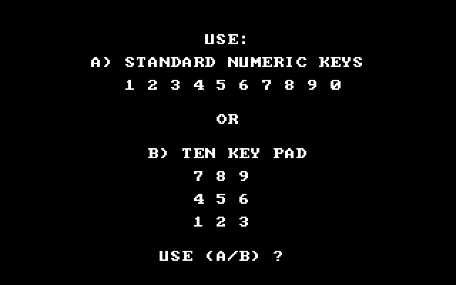 Mech Brigade IBM PC/Compatibles Screenshot: You can choose one of two ways to use the keyboard.
