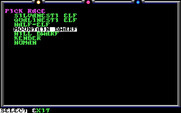 Death Knights of Krynn for IBM PC/Compatibles - Creating a new character.