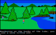 King's Quest for IBM PC/Compatibles - There's an elf here! I wonder if he can help me?