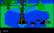 King's Quest for IBM PC/Compatibles - If you walk into the water and don't swim, you can drown.