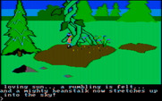King's Quest for IBM PC/Compatibles - It's a giant beanstalk!